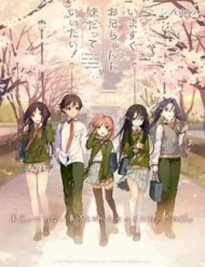 Truyện tranh Imasugu Oniichan Ni Imouto Datte Iitai