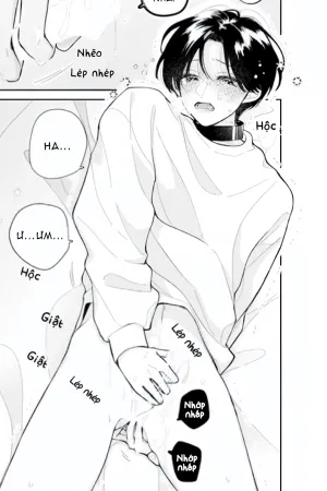 Bó Hoa Dành Dành Và Sắc Xanh Mong Manh