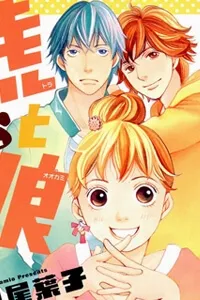 Truyện tranh Tora to Ookami