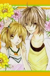 Truyện tranh Kimi wa grilfrend