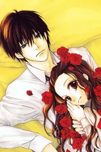 Truyện tranh Bara to Zirconia