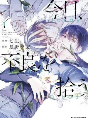 Truyện tranh Kyo Furyoo Hirou