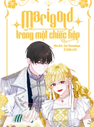 Truyện tranh Marigold Trong Một Chiếc Hộp