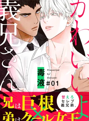 Truyện tranh Anh Trai Nuôi Đáng Yêu Của Tôi