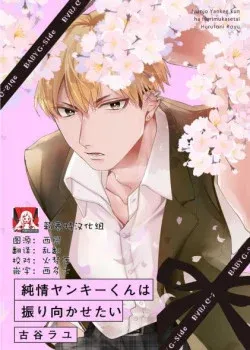 Truyện tranh Jyunjo Yankee- Kun Hãy Quay Lại