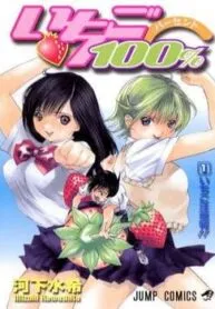 Truyện tranh Ichigo 100% Full Color Edition