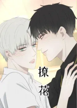 Truyện tranh Liêu Hoa