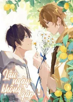 Truyện tranh Lâu Ngày Không Gặp