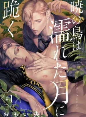 Truyện tranh Chú Chim Bình Minh Đầu Hàng Mặt Trăng Quyến Rũ