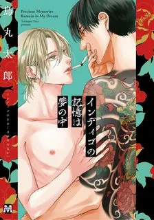 Truyện tranh Ký ức nhuốm chàm trong giấc mơ của tôi