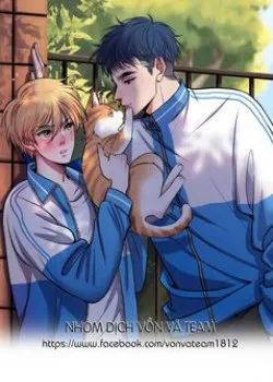 Truyện tranh Rốt Cuộc Mèo Con Đang Nghĩ Gì Thế?