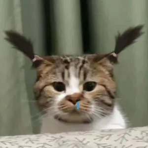 Truyện tranh (DROP) BẠN ĐỜI CỦA RỒNG