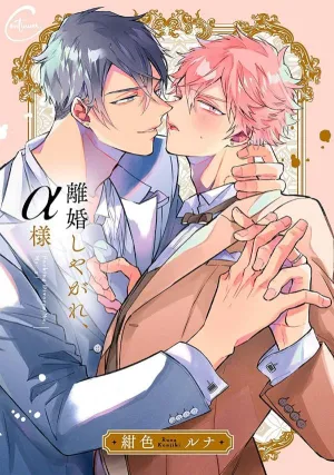 Truyện tranh Ly Hôn Đi, Hỡi Ngài Alpha