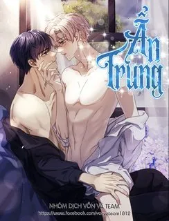 Truyện tranh Ẩn Trung (END)