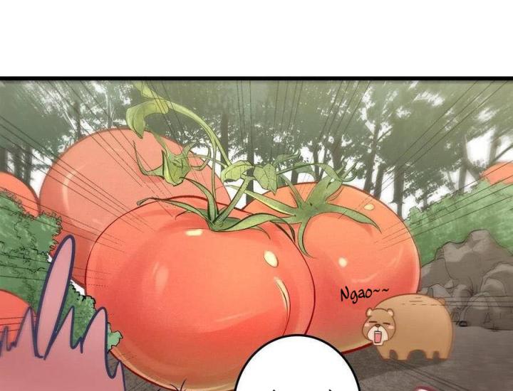Long Trù Chapter 24 - Trang 2