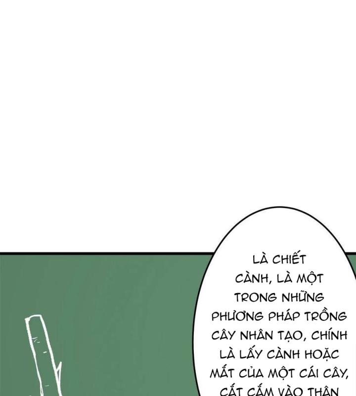 Long Trù Chapter 25 - Trang 2
