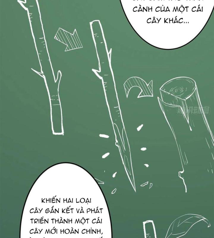 Long Trù Chapter 25 - Trang 2