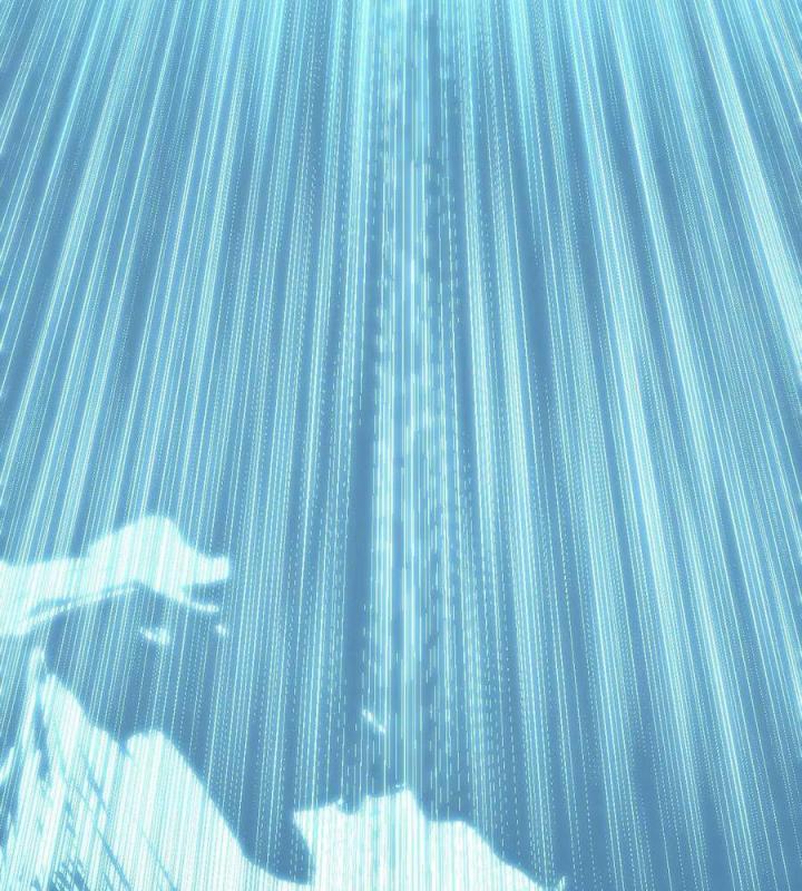 Long Trù Chapter 41 - Trang 2