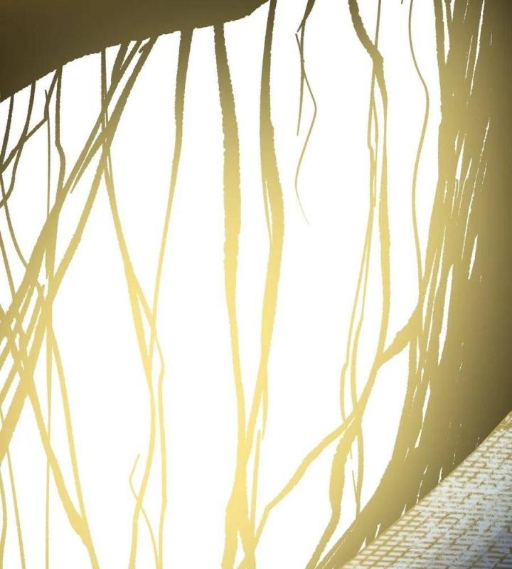 Long Trù Chapter 47 - Trang 2