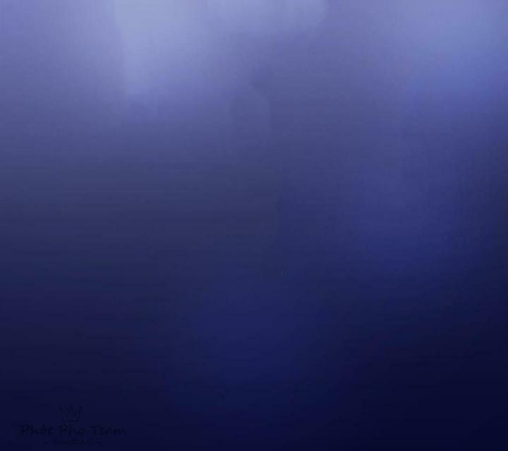 Nhất Đỉnh Vương Phi Chapter 1 - Trang 3