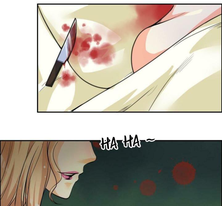 Nhất Đỉnh Vương Phi Chapter 2 - Trang 3