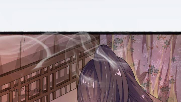 Nhất Đỉnh Vương Phi Chapter 3 - Trang 3