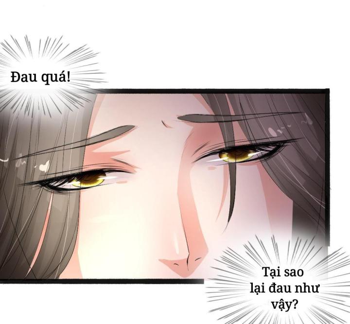 Nhất Đỉnh Vương Phi Chapter 3 - Trang 3