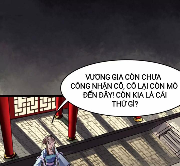 Nhất Đỉnh Vương Phi Chapter 14 - Trang 3