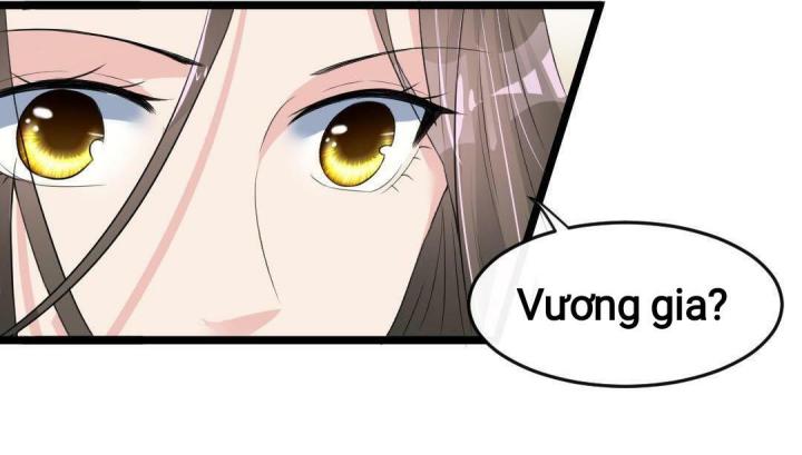 Nhất Đỉnh Vương Phi Chapter 19 - Trang 3