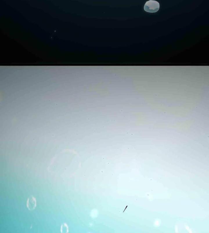Long Trù Chapter 67 - Trang 2