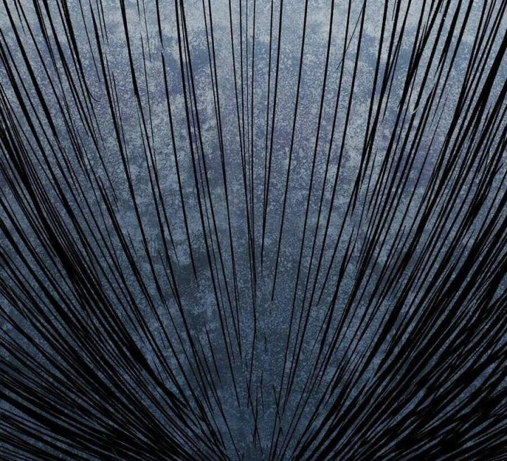 Long Trù Chapter 68 - Trang 2