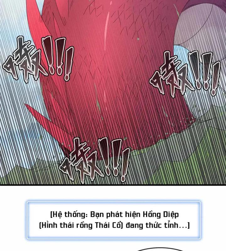 Từ Giờ, Ta Chính Là Bậc Thầy Của Pháp Sư Chapter 111 - Trang 3