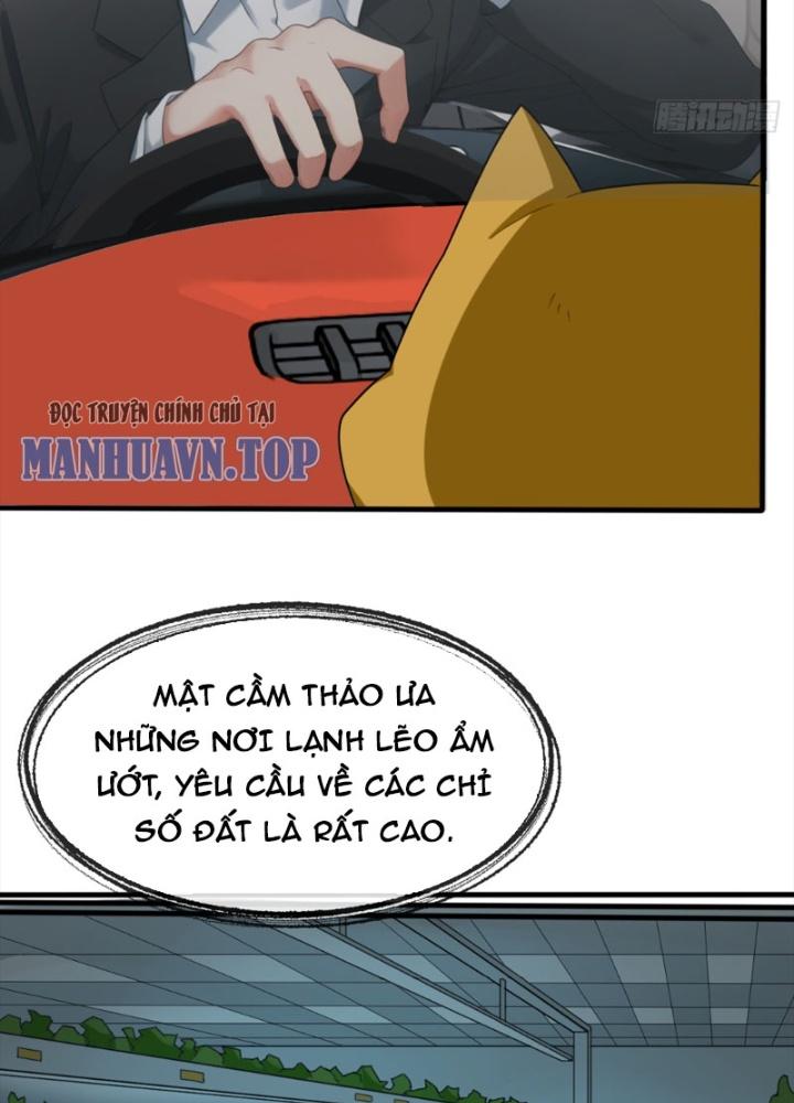 Tuyệt Thế Thiên Tài Hệ Thống Chapter 72 - Trang 2