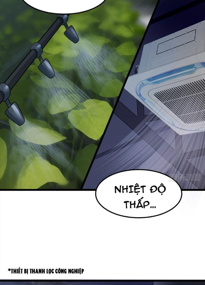 Tuyệt Thế Thiên Tài Hệ Thống Chapter 73 - Trang 2
