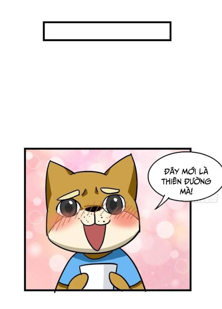 Tuyệt Thế Thiên Tài Hệ Thống Chapter 91 - Trang 2