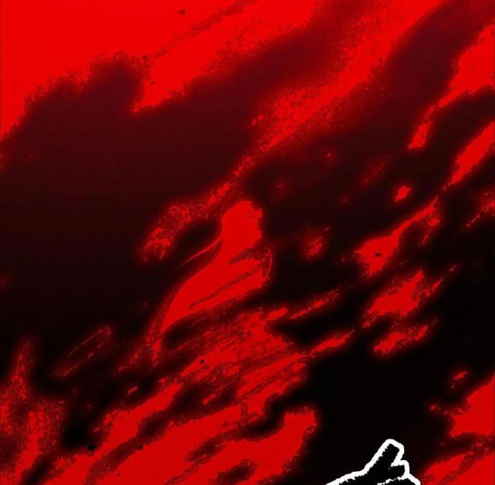 Là Thánh Hoàng Chính Đạo, Ta Cưới Ma Tôn Tà Đạo？！ Chapter 50 - Trang 2