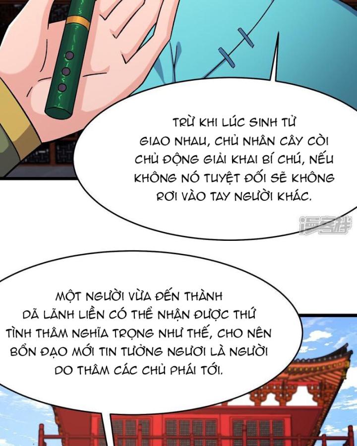 Đồ Đệ Của Ta Đều Là Nữ Ma Đầu Chapter 249 - Trang 4