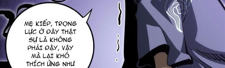 Tự Kỷ Luật Ta Đây Bất Khả Chiến Bại Chapter 105 - Trang 4