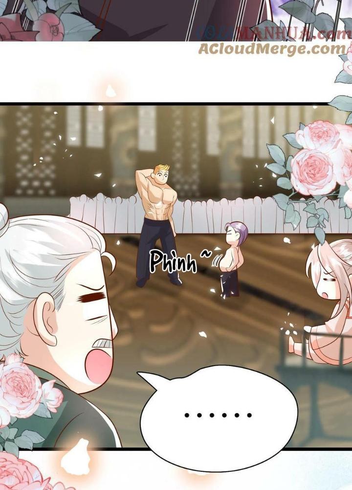 Tiểu Manh Bảo Bốn Tuổi Theo Sư Phụ Xuống Núi Chapter 186 - Trang 2