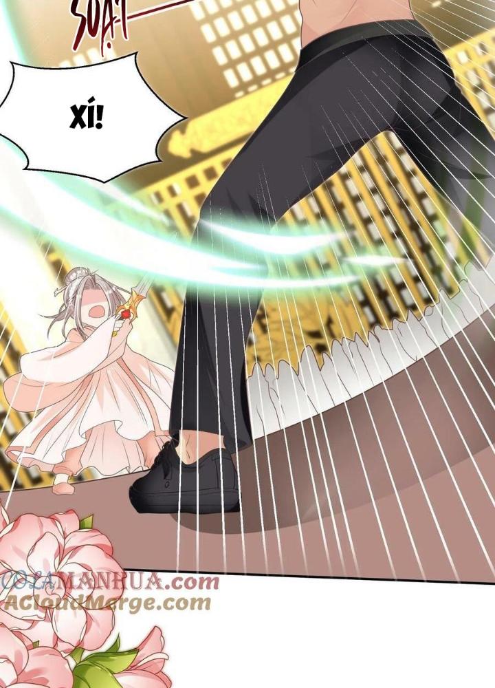Tiểu Manh Bảo Bốn Tuổi Theo Sư Phụ Xuống Núi Chapter 189 - Trang 2