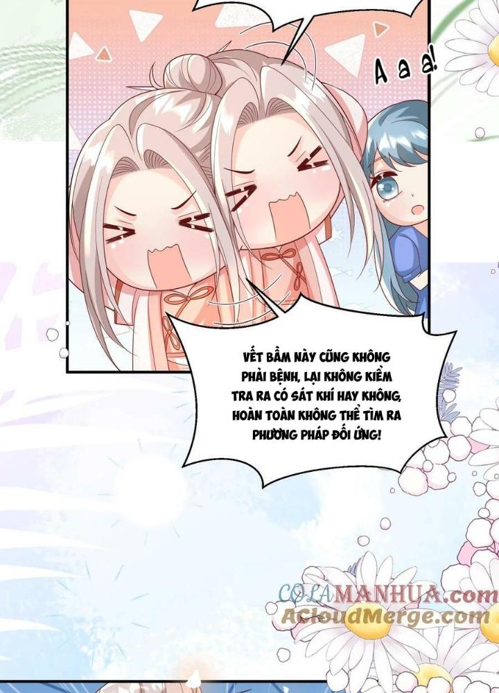 Tiểu Manh Bảo Bốn Tuổi Theo Sư Phụ Xuống Núi Chapter 192 - Trang 2