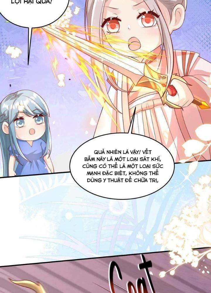 Tiểu Manh Bảo Bốn Tuổi Theo Sư Phụ Xuống Núi Chapter 192 - Trang 2