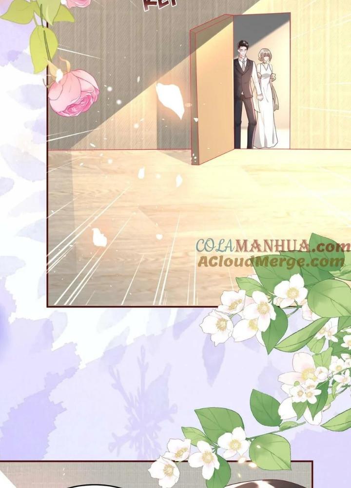 Tiểu Manh Bảo Bốn Tuổi Theo Sư Phụ Xuống Núi Chapter 202 - Trang 2