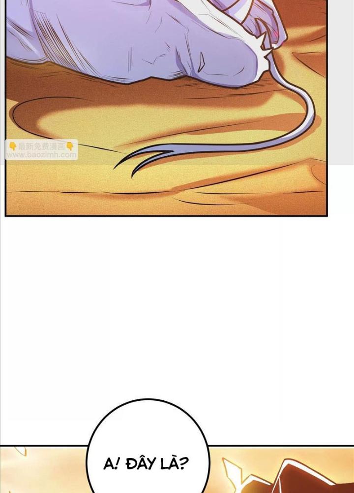 Nam Chủ Và Hậu Cung Đều Là Của Ta Chapter 67 - Trang 3