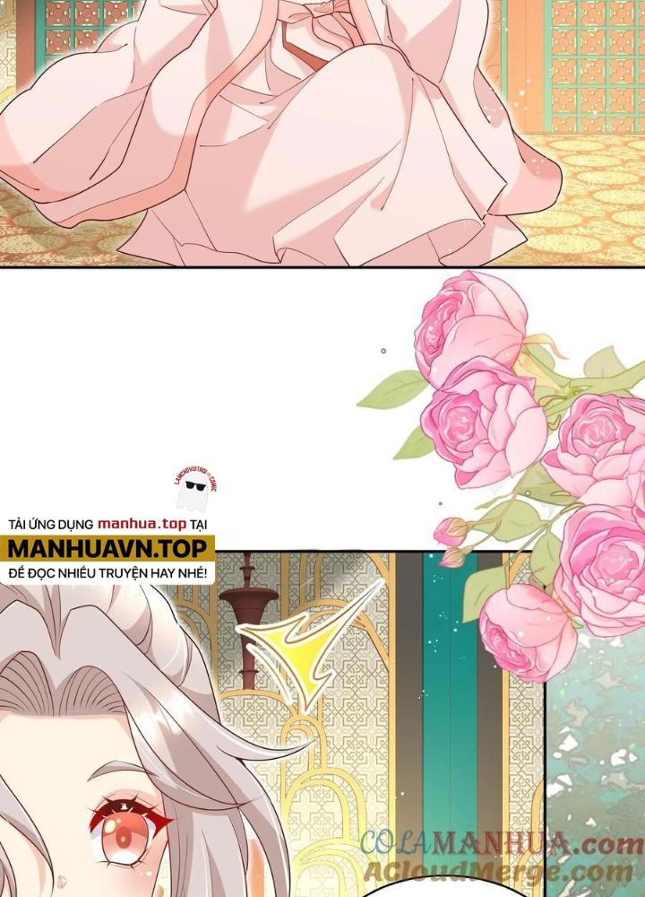 Tiểu Manh Bảo Bốn Tuổi Theo Sư Phụ Xuống Núi Chapter 222 - Trang 2