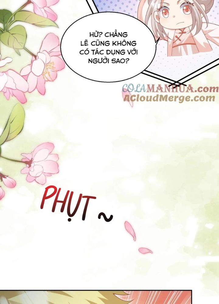 Tiểu Manh Bảo Bốn Tuổi Theo Sư Phụ Xuống Núi Chapter 222 - Trang 2