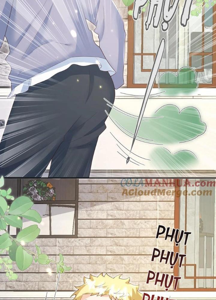 Tiểu Manh Bảo Bốn Tuổi Theo Sư Phụ Xuống Núi Chapter 222 - Trang 2