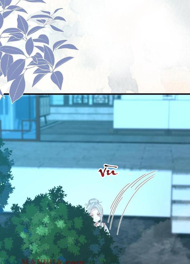 Tiểu Manh Bảo Bốn Tuổi Theo Sư Phụ Xuống Núi Chapter 223 - Trang 2