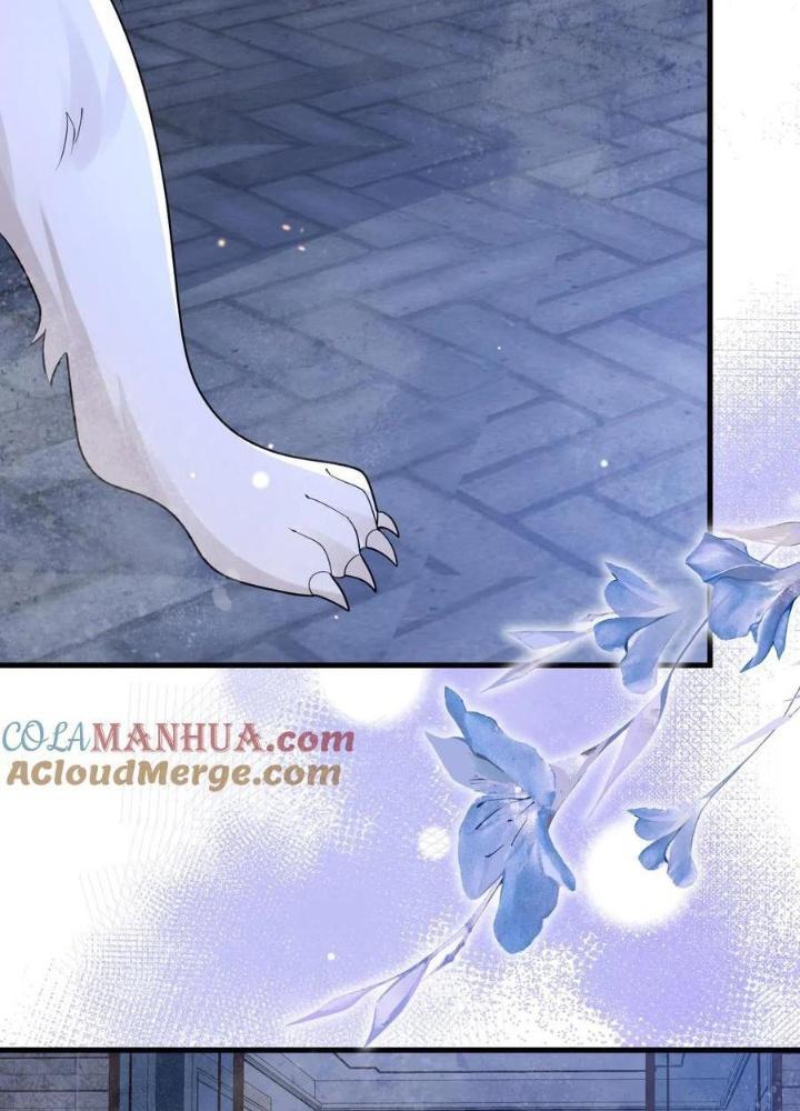 Tiểu Manh Bảo Bốn Tuổi Theo Sư Phụ Xuống Núi Chapter 223 - Trang 2