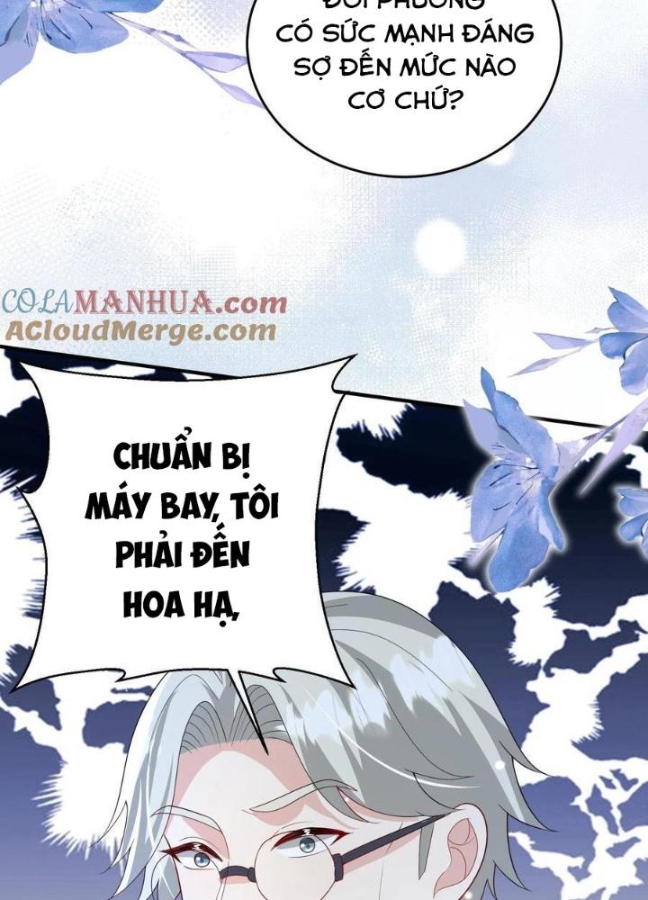 Tiểu Manh Bảo Bốn Tuổi Theo Sư Phụ Xuống Núi Chapter 224 - Trang 2